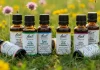 Fiori di Bach: utilizzo, benefici e consigli