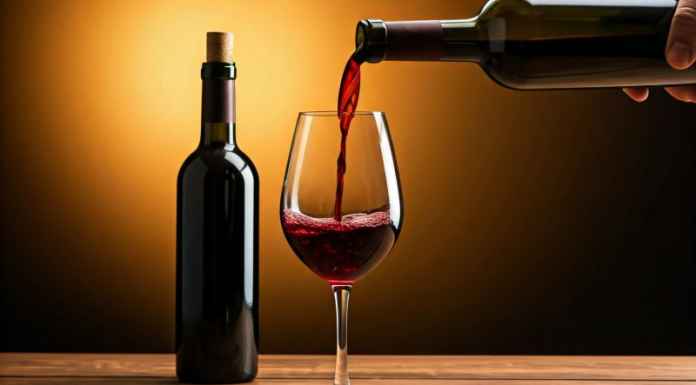Vino rosso: storia, gusto e abbinamenti
