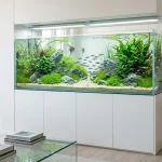 Un acquario di design con pesci e piante in una casa arredata in modo moderno