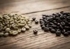 Caffè: origine, pianta, tipi e tostatura