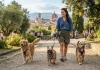 Dog sitter: come scegliere quello giusto