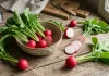 Ravanelli: proprietà, ricette e coltivazione
