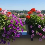 Vasi di fiori sul balcone