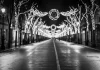 L’altra faccia delle luci di Natale