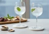 Bevande adattogene: i social tonic no alcol