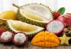 Frutta esotica: sapori e benefici
