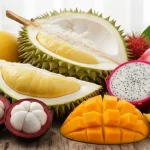 Varietà tropicali di frutta esotica come Durian, Pitaya Mangostano, Mango e Rambutan