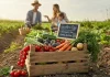 Frutta e verdura km 0: guida all’acquisto