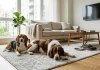Cani in appartamento: regole e consigli