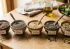 Semi oleosi: piccoli tesori di benessere