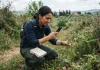 Citizen science: come funziona e progetti